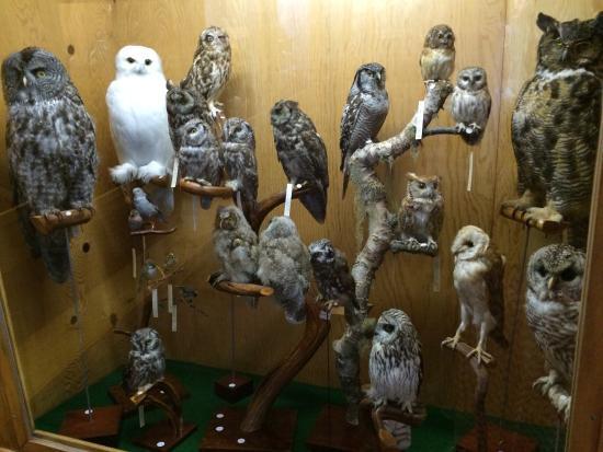 Stanley Bridge Marine Aquarium